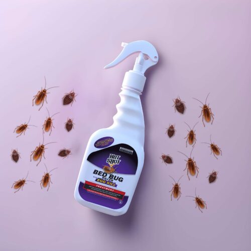 WhatsApp Image 2025-11-04 at 13.30.58_474f0cd1 HotShot Bed Bug Killer 500 ML